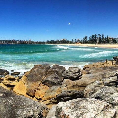 1 Bdrm Manly Beachside Apt With Parking Sídney Exterior foto